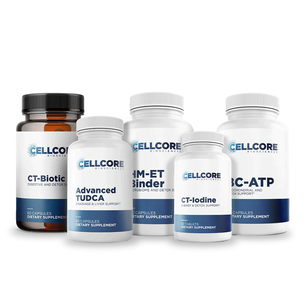 Comprehensive Protocol - Phase 4B