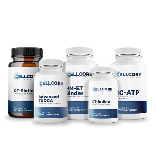 Comprehensive Protocol - Phase 4B